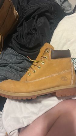 timbs size 7M