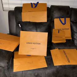 Louis Vuitton Bags