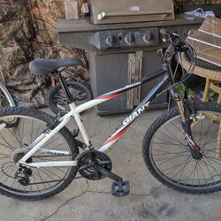 Gigante 26" Pulgadas 21 Speed 