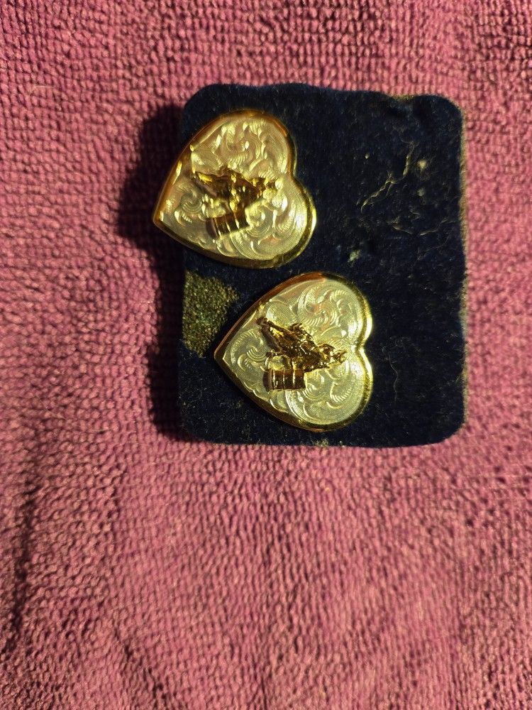 Montana Silversmiths Earrings