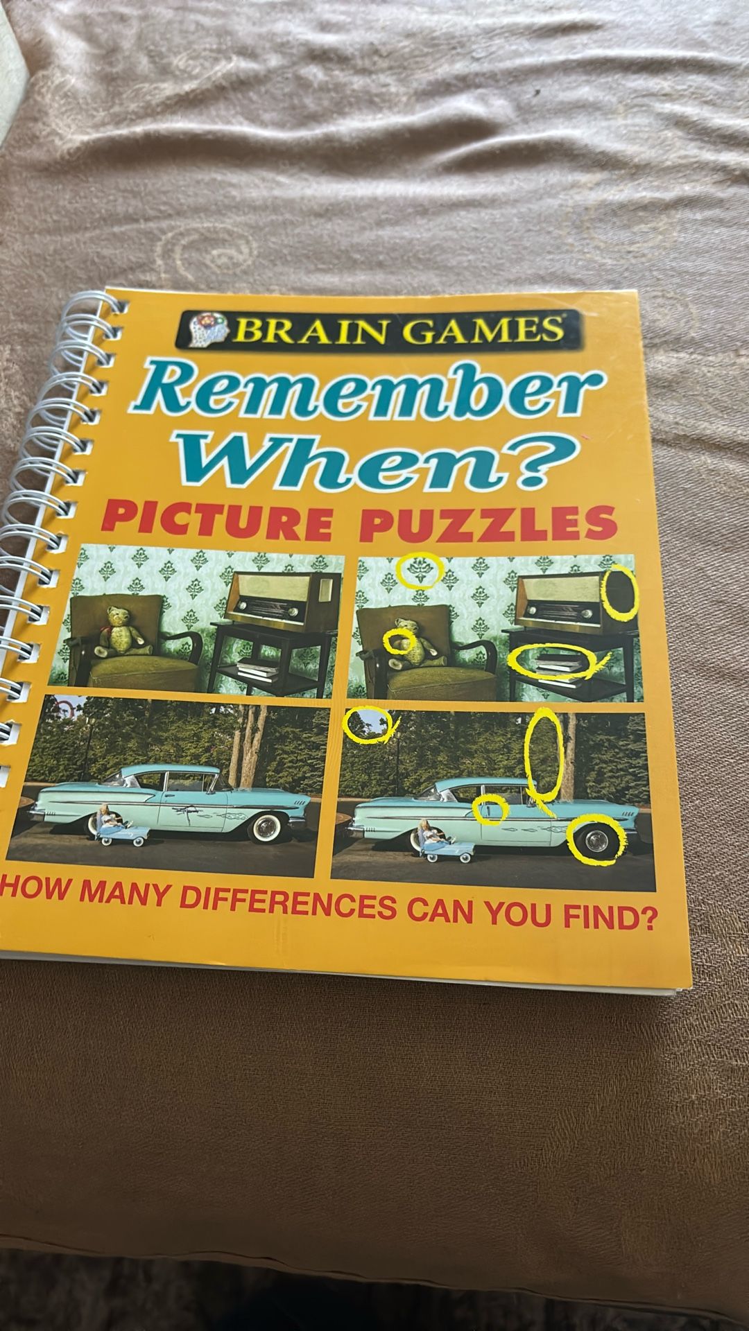 Picture Puzzle Book