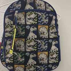 Dinosaur Backpack 2 For 10! 