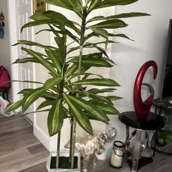 Pretty Artificial Plant 5 FT Tall With White Tall Planter! Brand New
