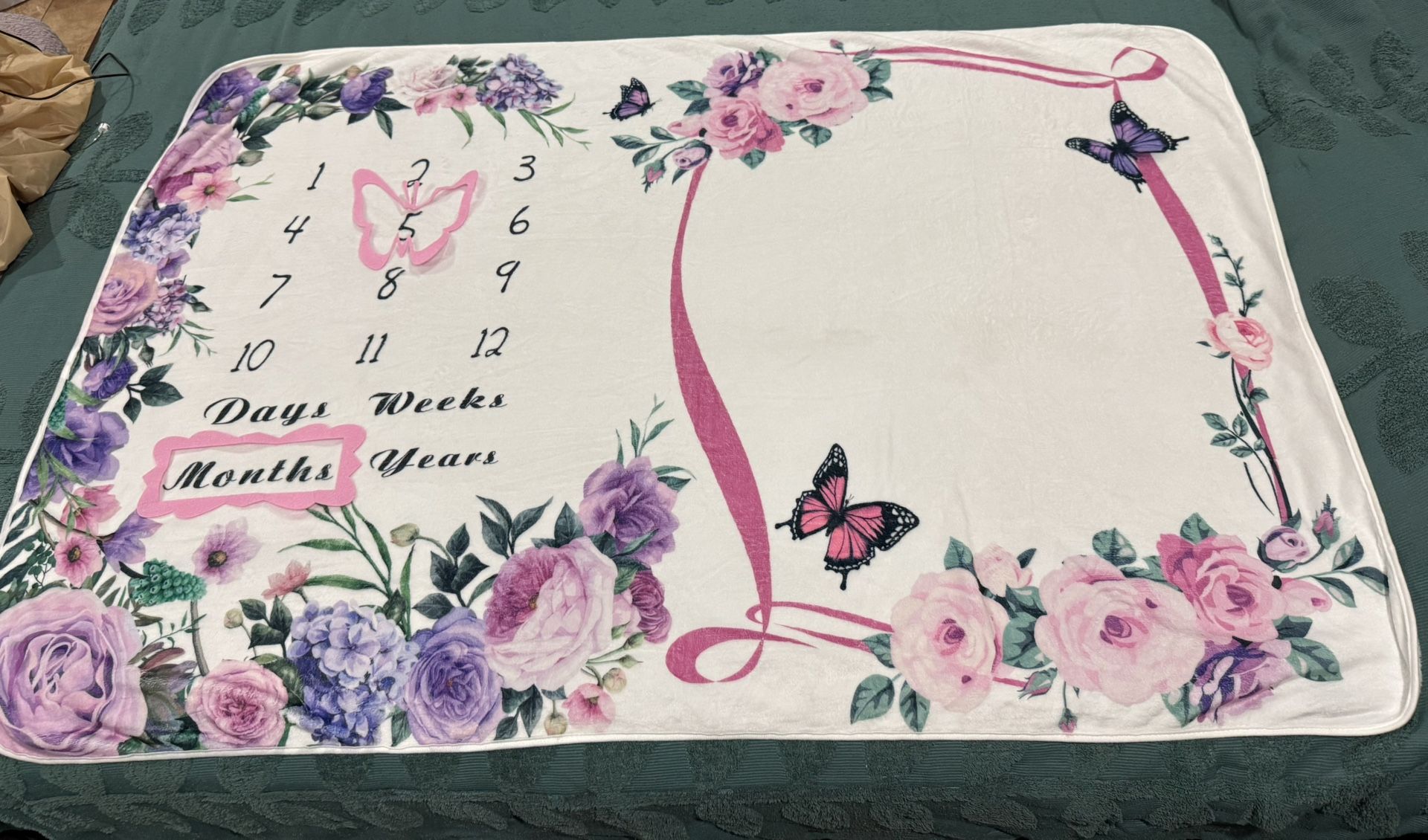 Baby Milestone Blanket