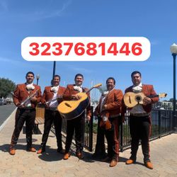 Trumpet Violín Mariachi