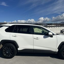 2019 Toyota RAV4 LE Sport Utility 4D