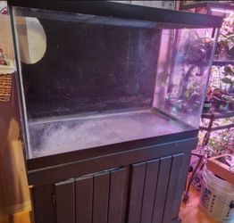 Fish tank aquarium