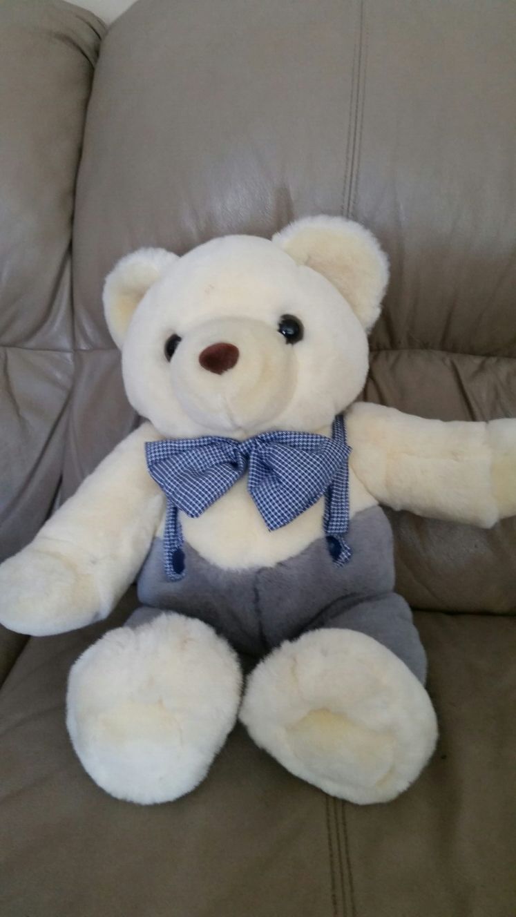 Bear stuffed animal