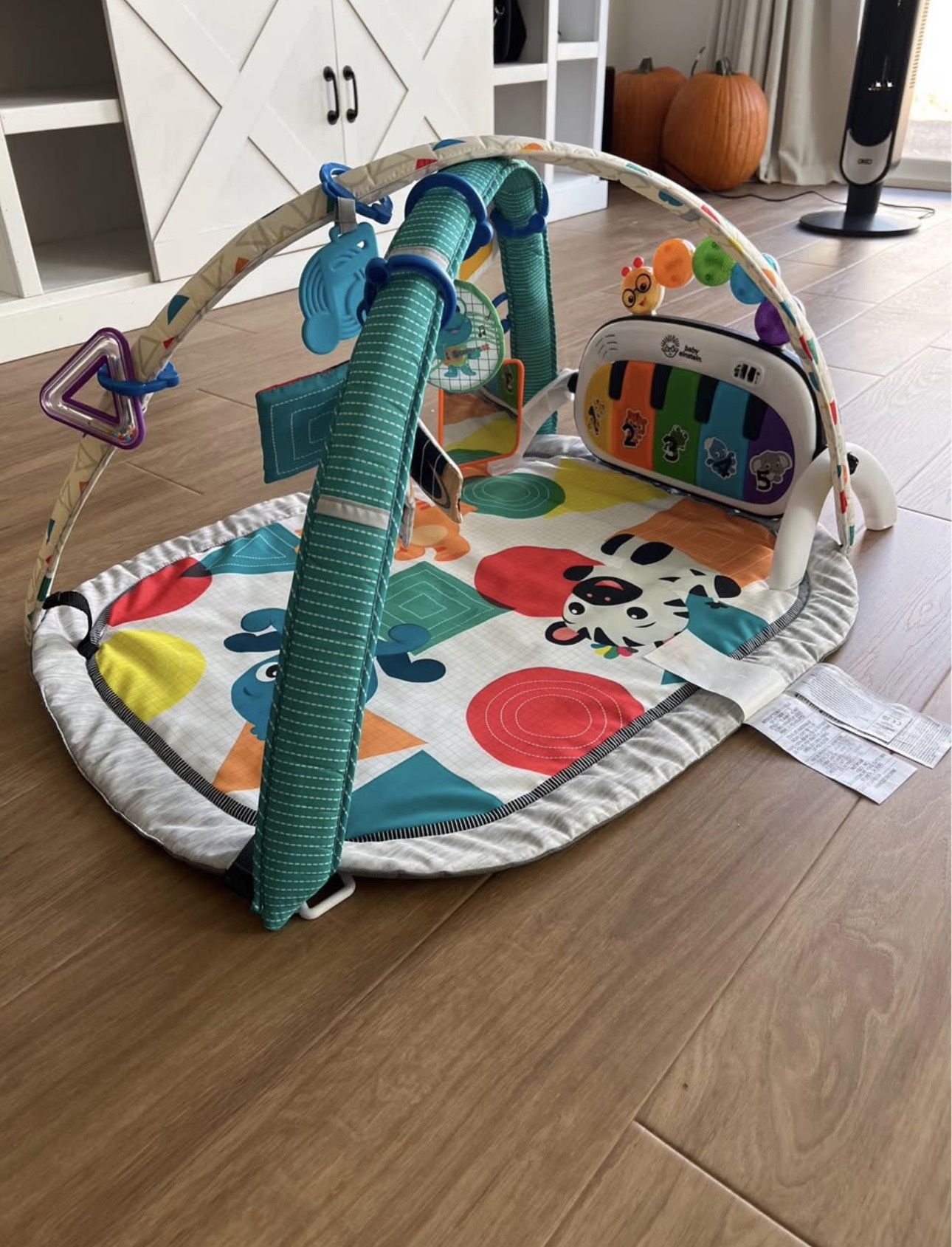 Baby Einstein Play Gym Mat