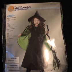 Wicked Witch Of Oz  Costume 