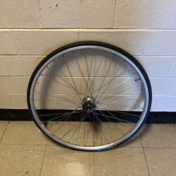 Fixed gear/single speed rear wheel 