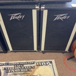 Set Of 2 peavey 210 Column Speakers
