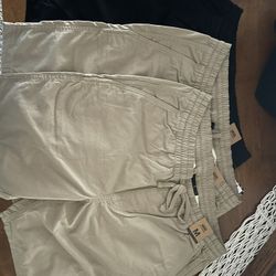Vans Shorts 