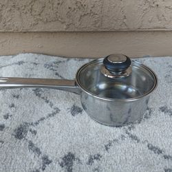 Stainless Steel Pot With Glass Cover, 1 Qt, Great For Boiling Eggs, Veggies, Rice