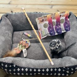 * 1x Brand New Bed * 2x CAT Toys - Bird and a Vibrant Fish on Pole is Brand New  * 3x Cat Nip - Full Packages  * And A Red Light Toy - Very Bright
