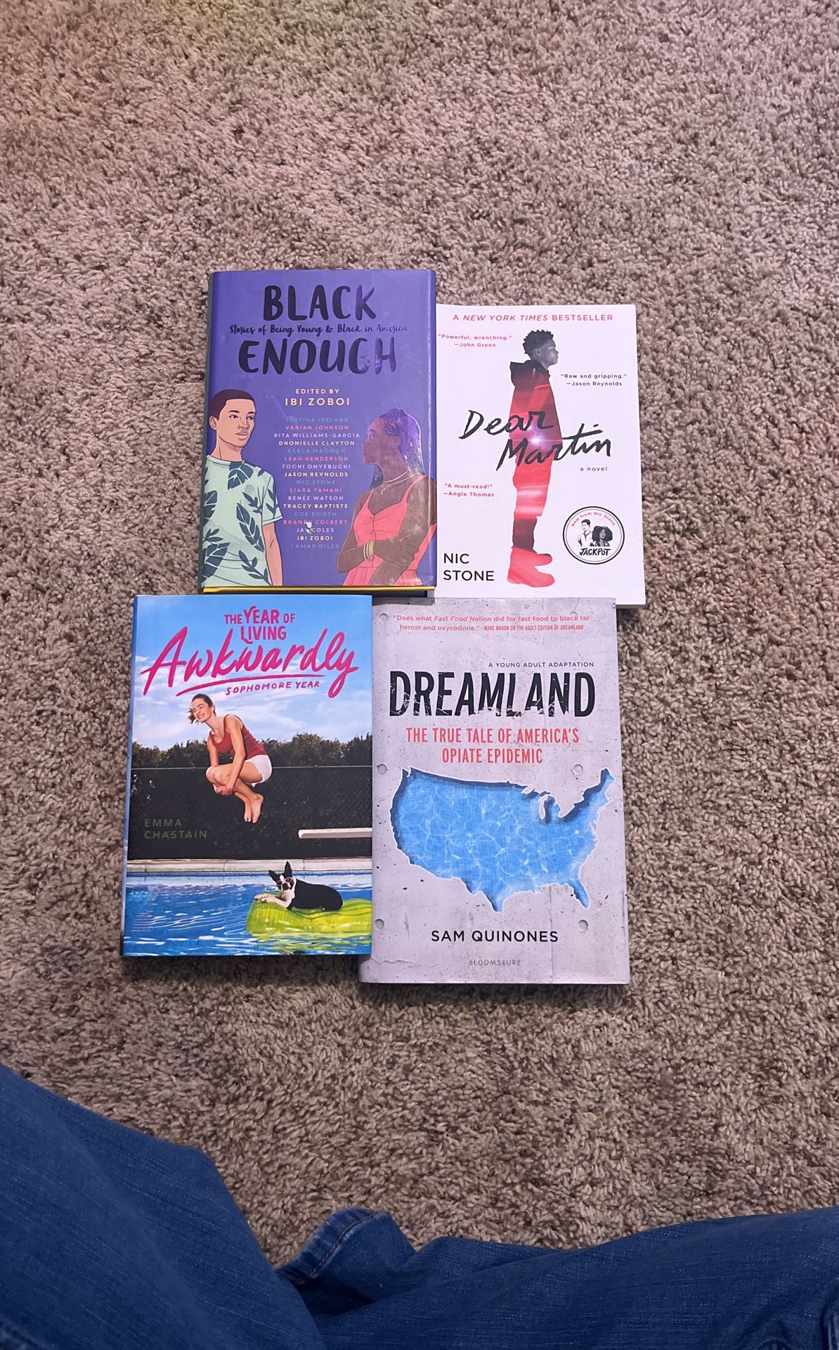 Bundle of highschool level books