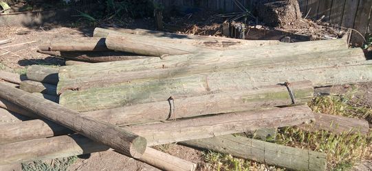 Treated wood posts