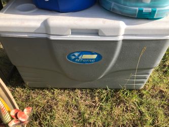 Coleman cooler