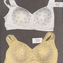 Daisy Bras 