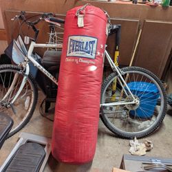 70 Lb Everlast Punching Bag