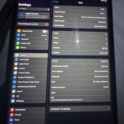 iPad Pro 12.9 4Gen 