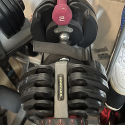 bowflex 552 dumbbells Set With Rack And Bench 