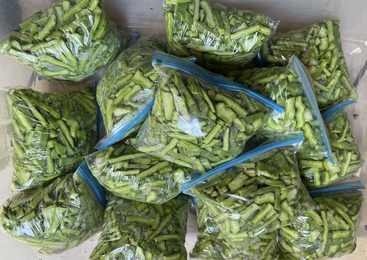 nopales