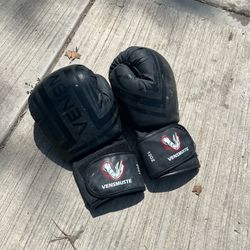 Vensmuste 12oz Training Boxing Gloves