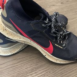 Nike Pegasus Trail 3 Gore-Tex Men's Obsidian Siren Red