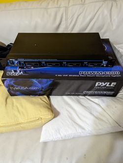 Only The System With The Microphone