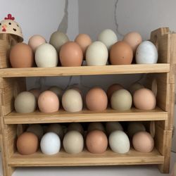 Fresh Eggs 
