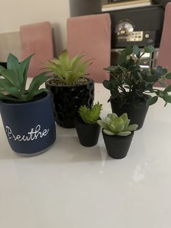 Set of 5 Mini Artificial Succulents & Greenery in Decorative Pots