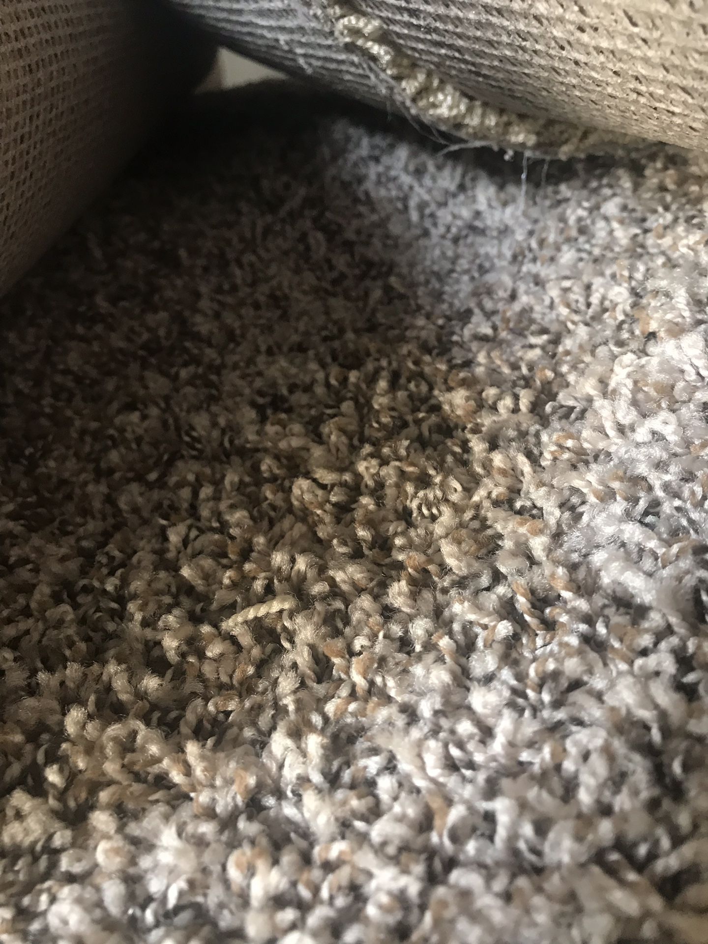 All Carpet remnants are $50 (sizes are 12x6 or longer)