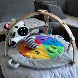 Baby Einstein tummy time mat