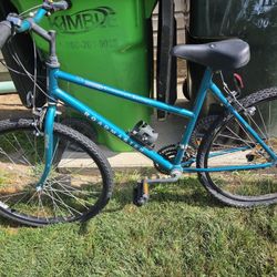 Adult bike.. The tires are dry rotted..