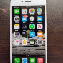 Apple iPhone (8) Carrier Unlocked.! Needs Fix!