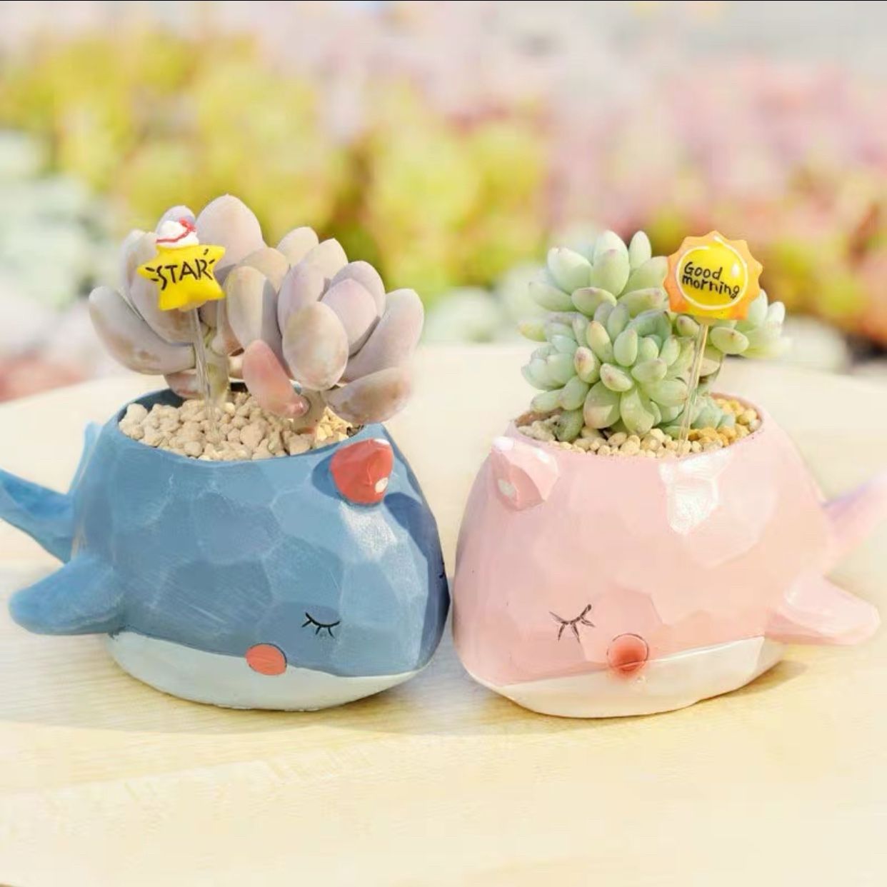 Flower pot, Resin Succulent Pot