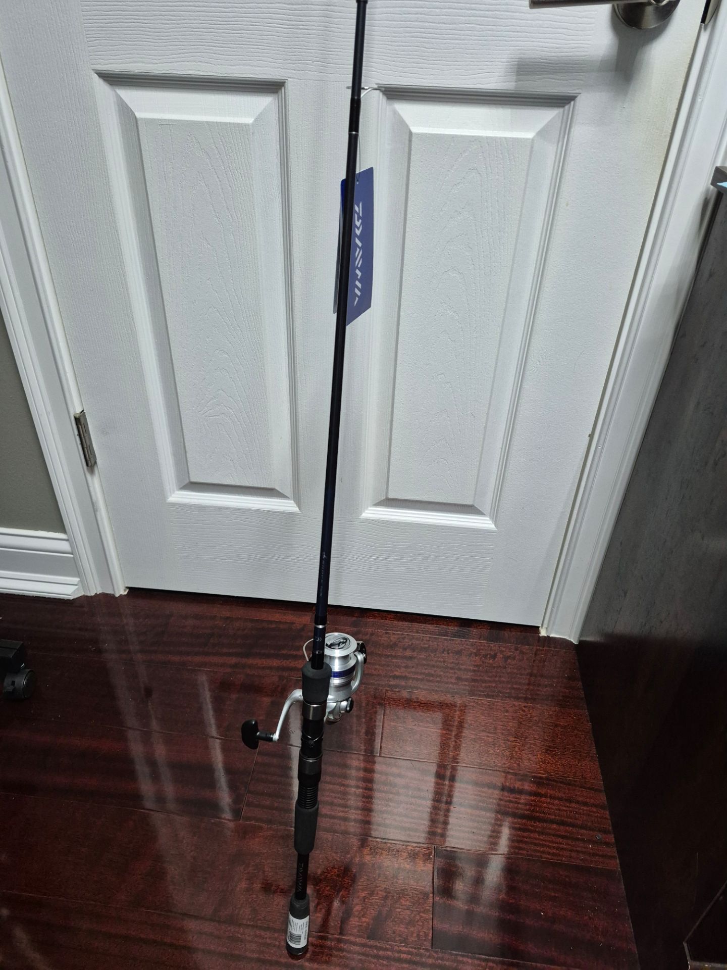 Daiwa fishing Spinning rod and reel Combo NEW