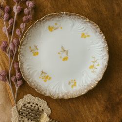 Dresden Germany 1920s Floral Porcelain Plate Yellow Flowers Gold Trim, 7”