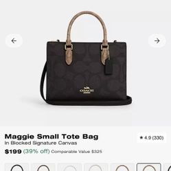 Small Coach Tote Bag