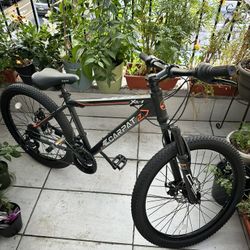Ecarpat boys 24” inch mountain bike