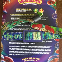2 DAY BEYOND WONDERLAND TICKET