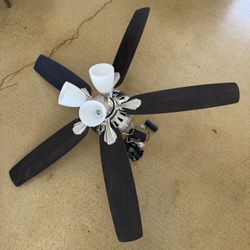 Ceiling fan light with remote 