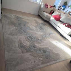 Rug 7x10 Great Condition - Free