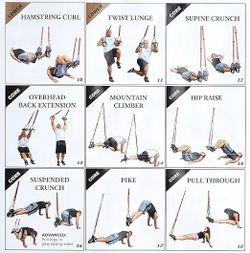 WOSS AttacK Trainer Suspension Trainer Bodyweight Training Straps for Full Body Workouts at Home Includes Door Anchor and rubber handle Foot Str for Sale in Miami FL OfferUp