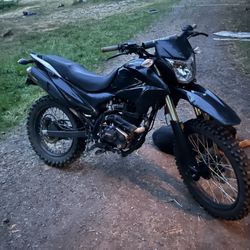 Hawk Dlx 250 fuel injected