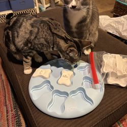 Cat (or Dog) Treat Puzzle 