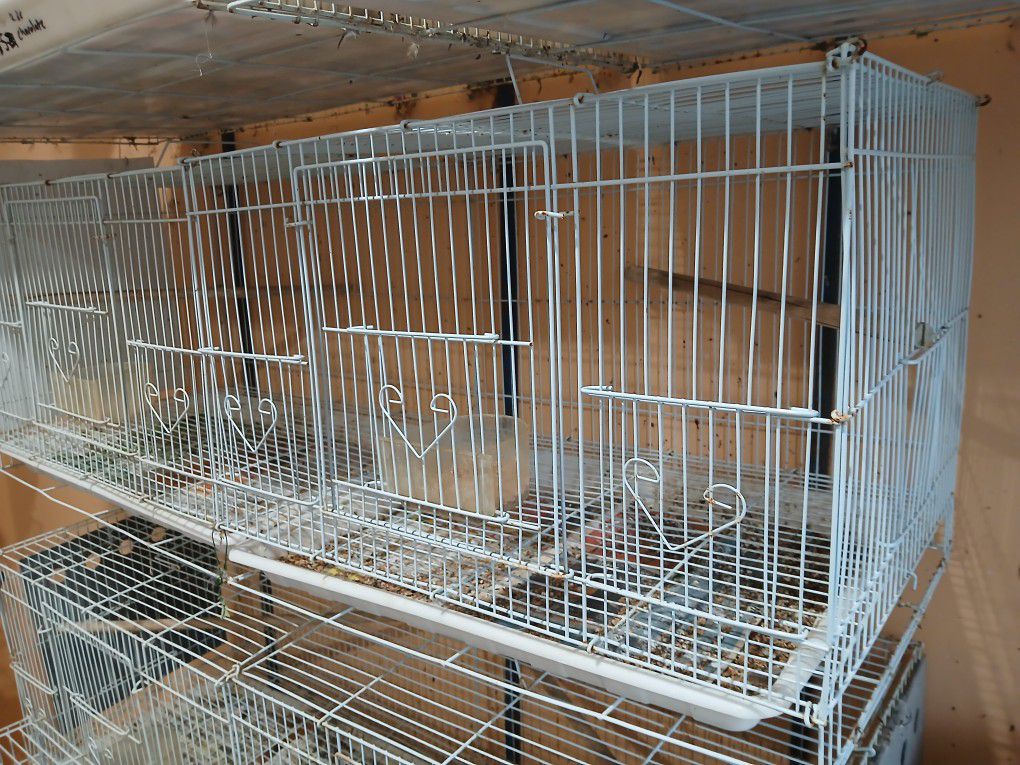 2 Bird Cages Converted Into 1 Fly Cage.