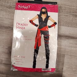Ninja costume (female)