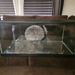 Glass cage 36"L × 18"W